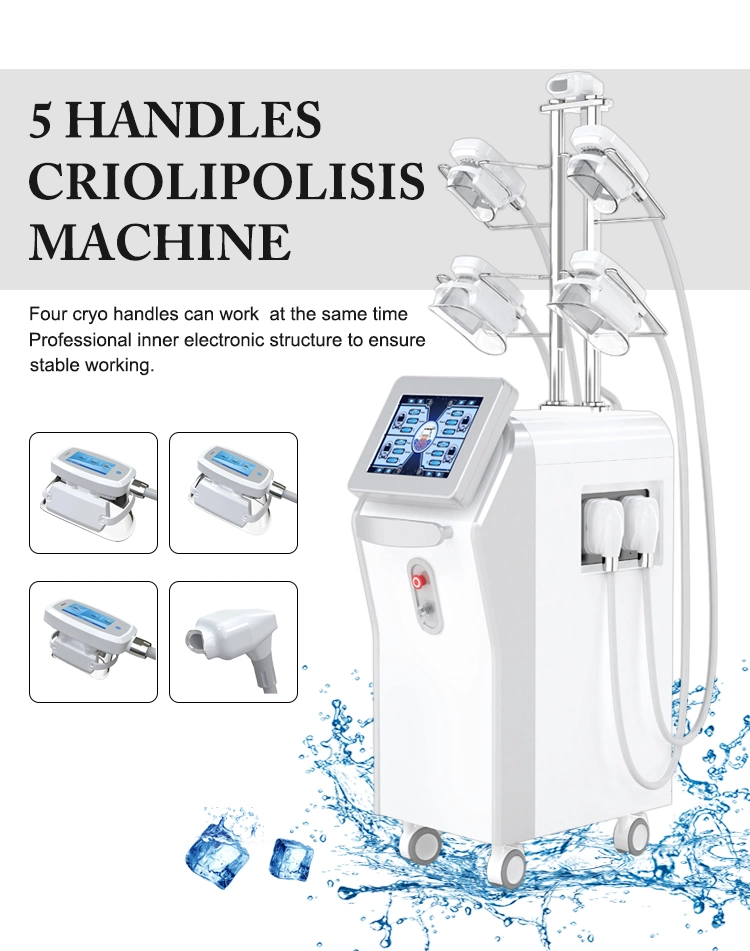 2022 Newest Cryolipolysis Beauty Machine Cool Slimming Beauty Equipment Fat Freezing