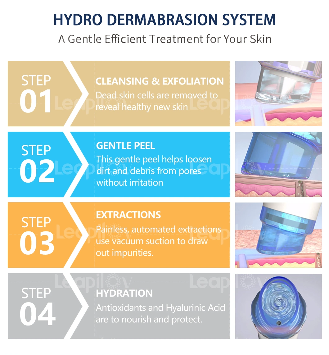 New Multifunction Beauty Salon Hydra Oxygen Skin Care Machine
