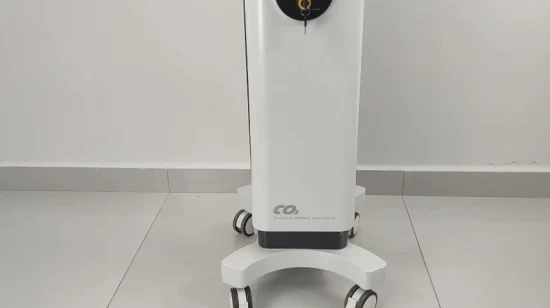 New Fractional CO2 10600nm Laser Skin Rejuvenation Remove Scar Remove Stretch Marks and Moles Beauty Equipment Laser Beauty Machine CO2 Laser