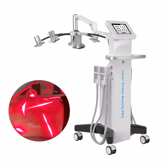 Weight Loss Body Shaper Slimming Cryolipolysis Beauty Equipment