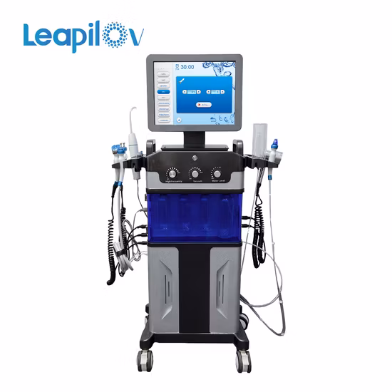New Multifunction Beauty Salon Hydra Oxygen Skin Care Machine