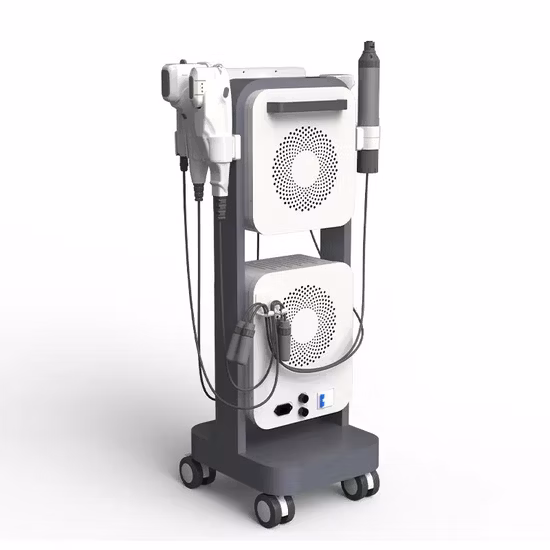 Latest Generation Face Winkles Removal Body Slimming Vaginal Tightening 5D Ultrasound Hifu